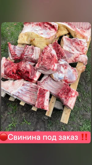Свинина