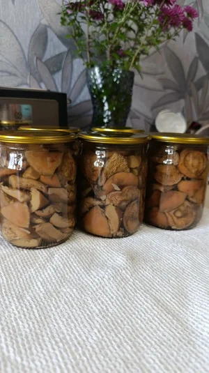 Рыжики маринованные