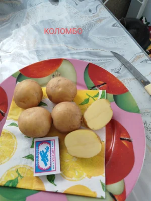 Картофель