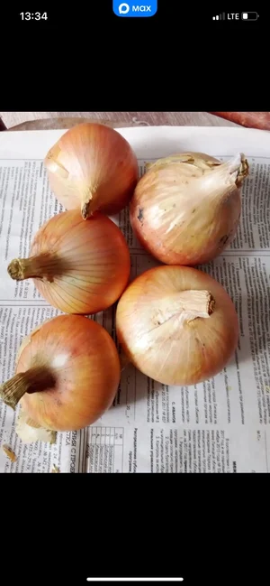 Картофель