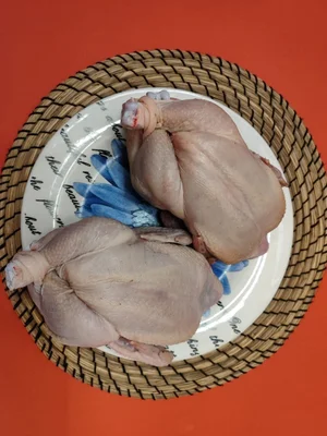 Цыплята Корнишоны