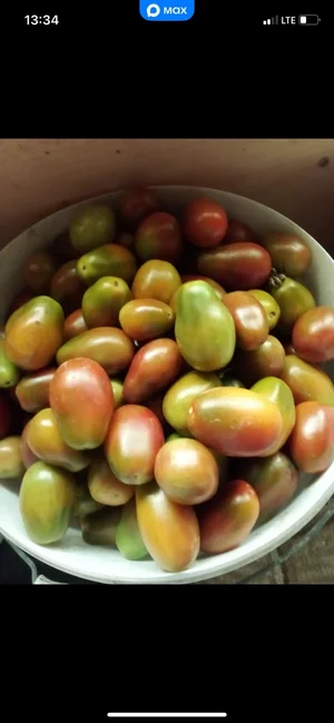 Картофель