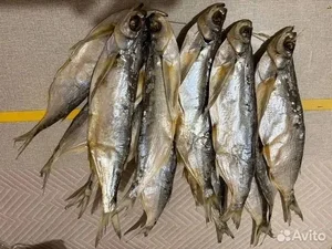 Чехонь вяленая