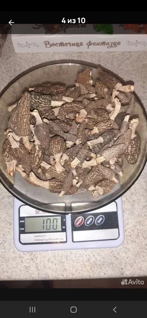Соленые грузди
