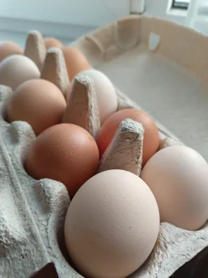 Куриные яйца