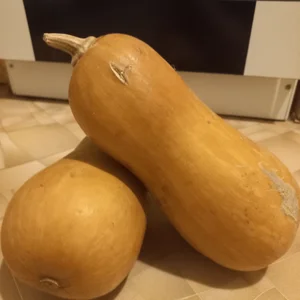 Капуста