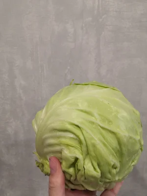 Капустка домашняя