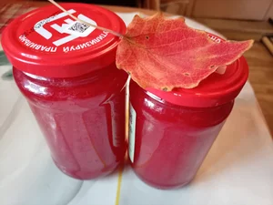 Калина протертая с сахаром