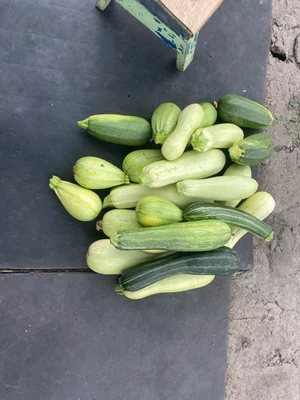 Картофель