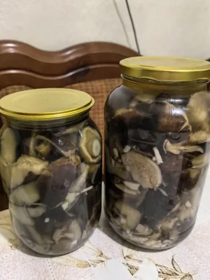 Соленая тополиная рядовка