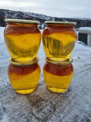 Сироп из облепихи