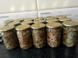 Маслята маринованные