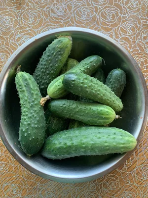 Яблоки