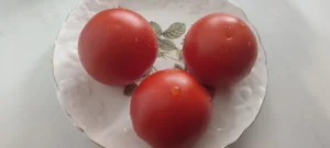 Огурцы