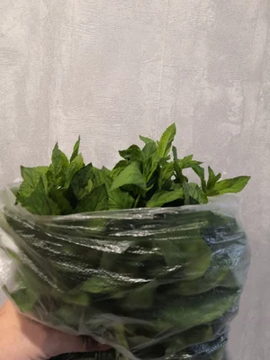 Молодая капуста
