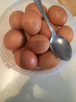 Домашнее яйцо