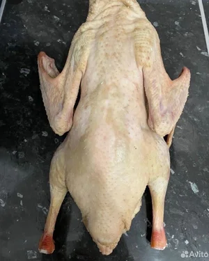 Гусь