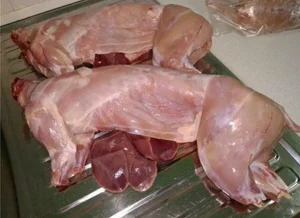 Кролик