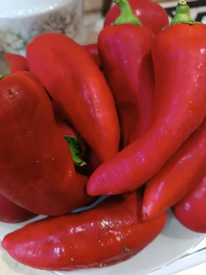 Патиссоны