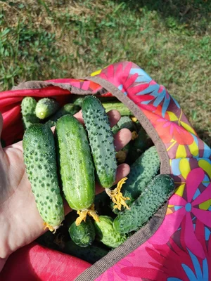 Продукт не указан