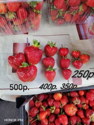 Клубника