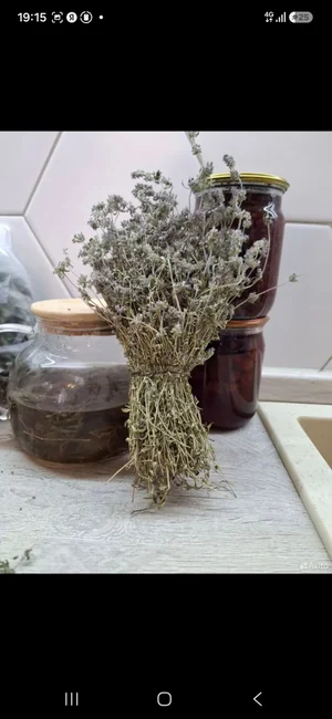 Сушёный чабрец