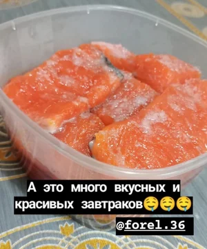 ФОРЕЛЬ ОХЛАЖДЕННАЯ НЕПОТРОШЁНАЯ
