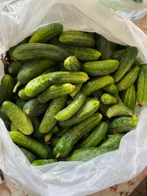 Огурчики
