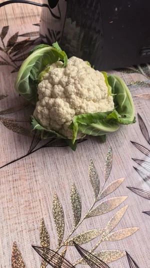 Яйца домашние