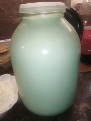 Куриное яйцо