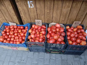 Фасоль спаржевая «Золотой нектар»
