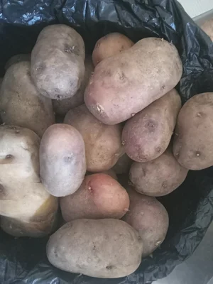 Картофель
