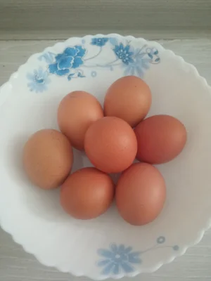 Домашние яйца