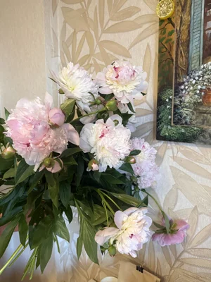 Пионы