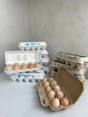 Домашние яйца