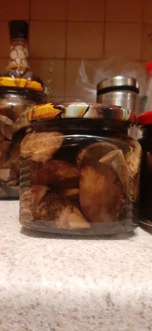 Маринованные подосиновики