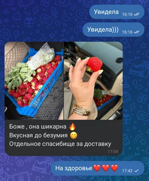 Клубника