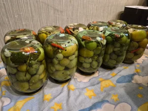Консервация