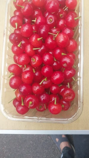 Земляника