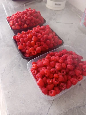 Малина