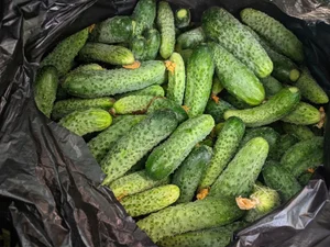 Огурчики