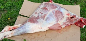 Говядина Передок