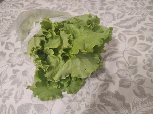 Яйца свежие домашние