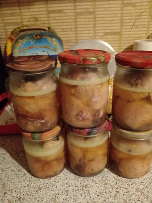 Курочки молодые