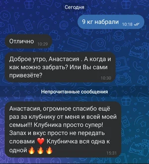 Клубника