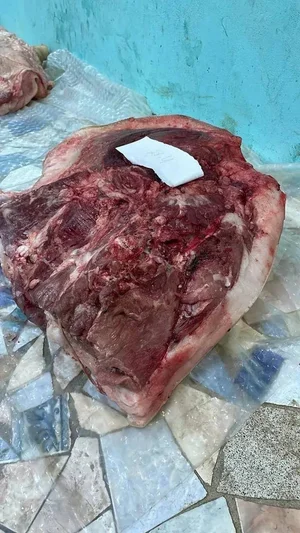 Мясо домашнего барашка