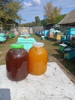 Молоко цельное