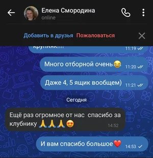 Клубника