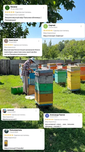 Мед чистый подсолнух