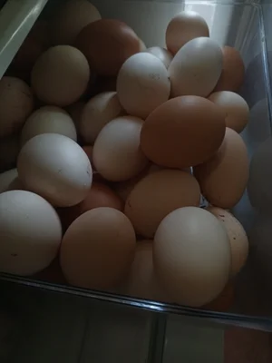 Тушки домашних бройлеров